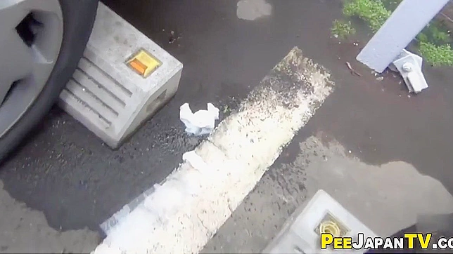 Japanese Women and Their Secret Peeing Adventures Exposed in a Carpark!