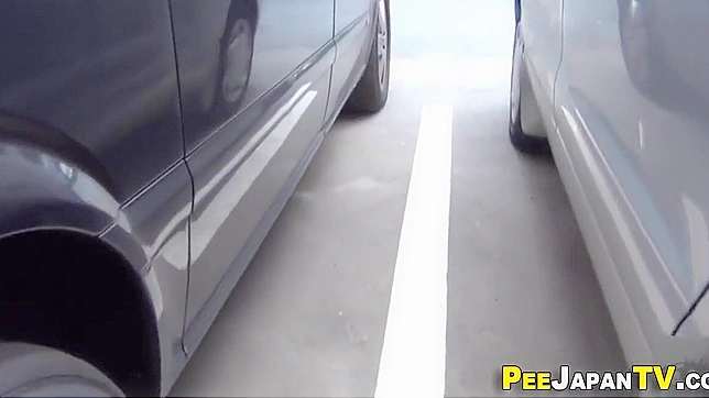 Japanese Women and Their Secret Peeing Adventures Exposed in a Carpark!