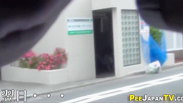 Japanese Women and Their Secret Peeing Adventures Exposed in a Carpark!