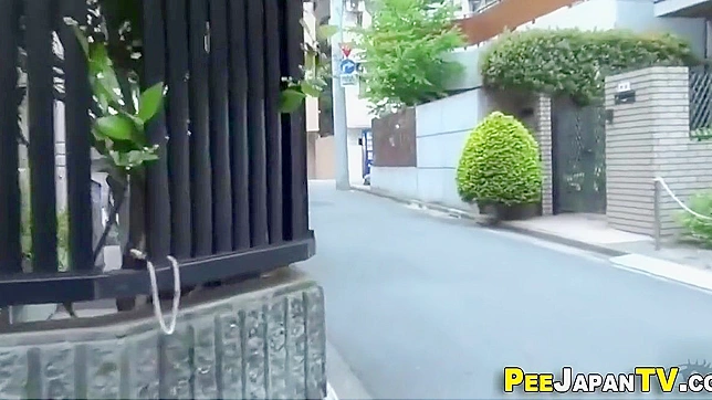 Japanese Women and Their Secret Peeing Adventures Exposed in a Carpark!