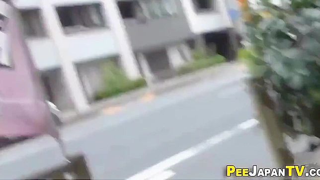 Japanese Women and Their Secret Peeing Adventures Exposed in a Carpark!