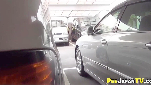 Japanese Women and Their Secret Peeing Adventures Exposed in a Carpark!