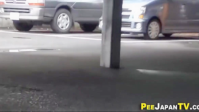 Fantasy Fulfilled ~ Adorable Asian Sweethearts Peeing in Public!