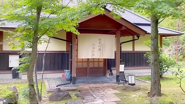 Nipple-Nosing Through Fallen Leaves at Kurokawa Onsen ~ The Ultimate Japanese Beauty Ritual