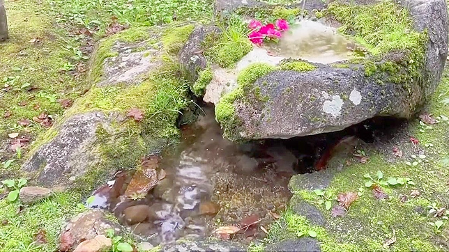 Nipple-Nosing Through Fallen Leaves at Kurokawa Onsen ~ The Ultimate Japanese Beauty Ritual