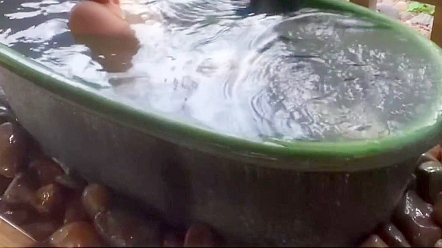 Japanese Porn - Enchanting Cherry Blossoms Bath with Alluring Bamboo