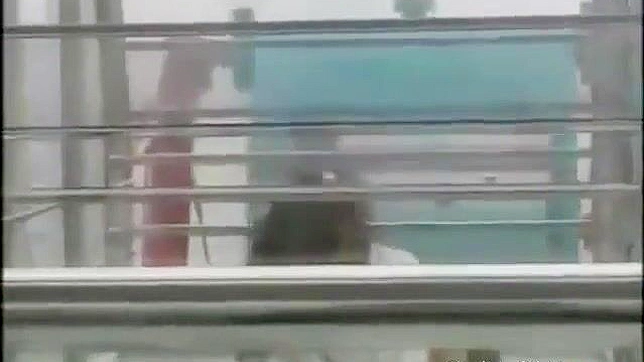 Japanese Girl's Naughty Ride ~ Public Masturbation on Ferris Wheel