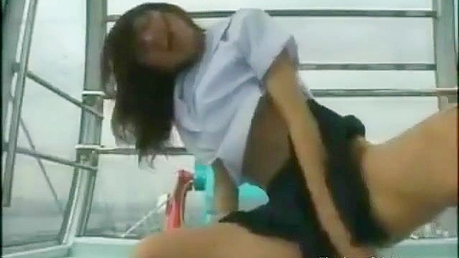 Japanese Girl's Naughty Ride ~ Public Masturbation on Ferris Wheel