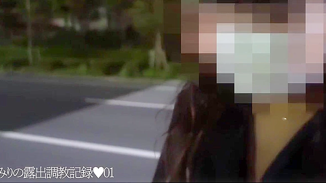 Japanese Beauty Emiri's First Public Flashing Adventure at the Roadside (49 characters)