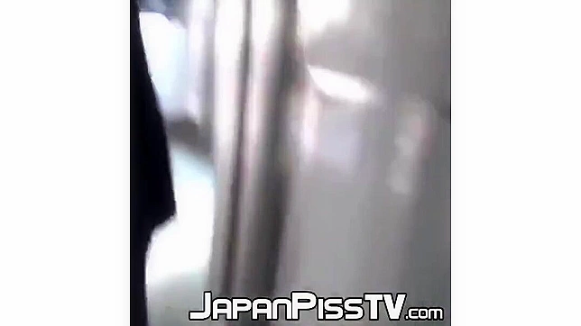 Japanese Beauty Fingering Herself While Peeing on a Moving Train ~ A Must-Watch Video!