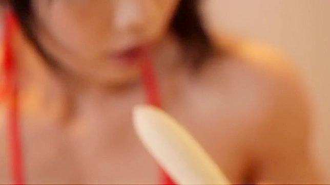 Introducing Ageha 04 - The Tokyo Tease ~ Alluring Luscious Beauties in Latest Japanese Porn Video