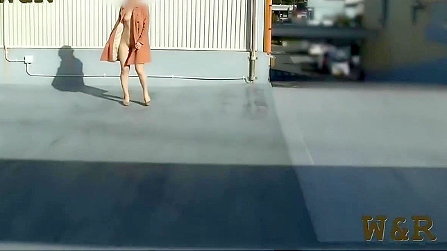 Japanese Beauty Goes Full Nude in Public Parking Lot