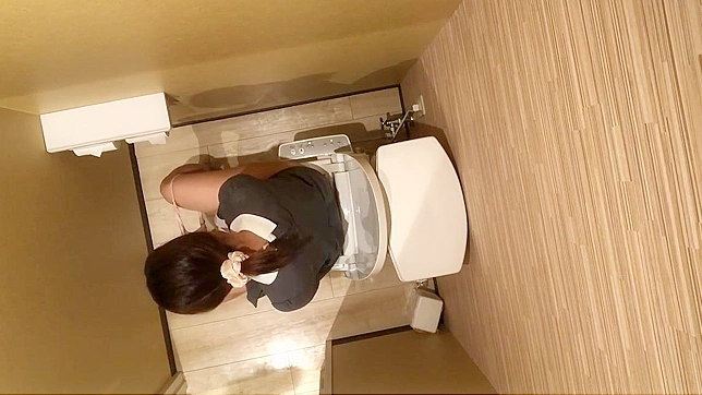 Japanese Porn ~ Luscious Girl Loses Control During Public Bathroom Break