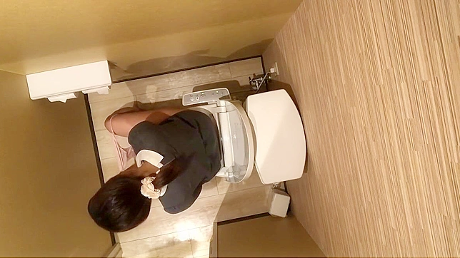 Japanese Porn ~ Luscious Girl Loses Control During Public Bathroom Break