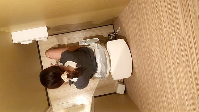 Japanese Porn ~ Luscious Girl Loses Control During Public Bathroom Break