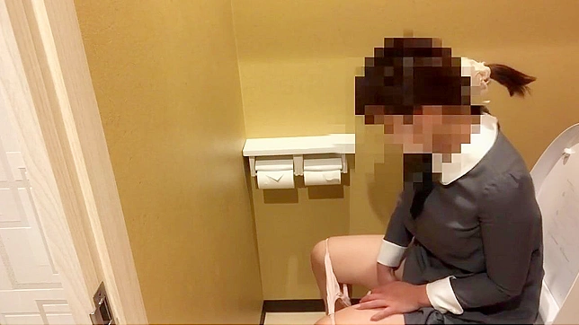 Japanese Porn ~ Luscious Girl Loses Control During Public Bathroom Break