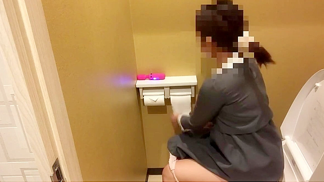 Japanese Porn ~ Luscious Girl Loses Control During Public Bathroom Break