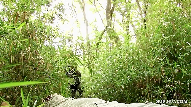 Japanese Military Finished Hard Cum in Tied Captive Mouth, Army BDSM