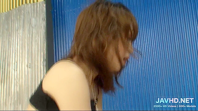 Hot Japanese Anal Action in Volume 1