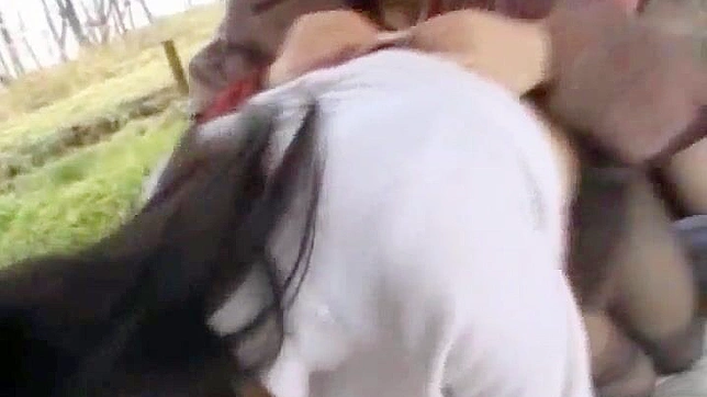 Surprised Sexy Japanese Chick Gets Pounded Wildly!