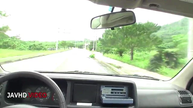 Asian Babe's Wild Road Trip Blowjob - Hot & Unfiltered Fun