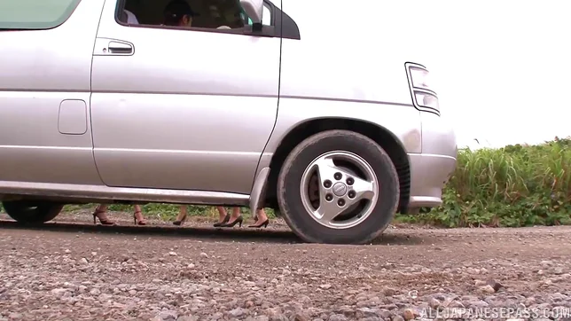 Naughty babes are sharing one massive dick