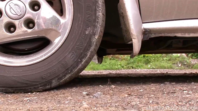 Naughty babes are sharing one massive dick