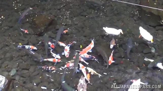 Appetising Asian milf Nanako Kimura enjoys doggystyle screwing 3