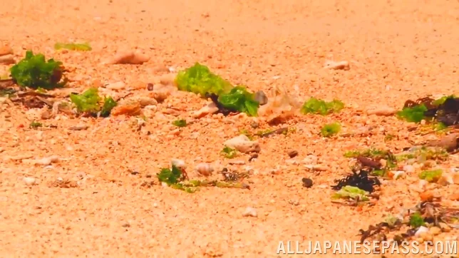 Skinny Miu Fujisawa enjoys huge cock on the beach 4