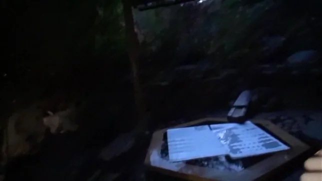 Sexy Asian babe Erika otani gets a hot pounding 5