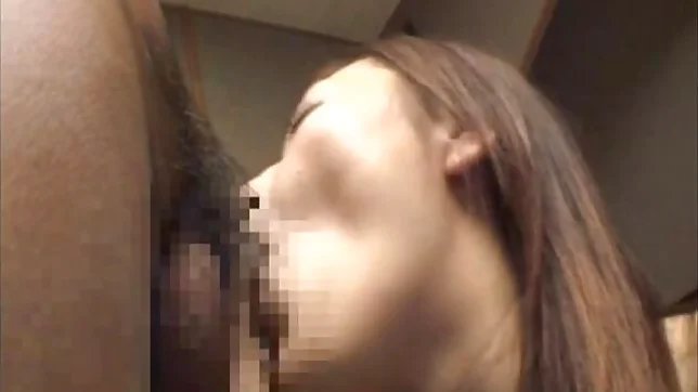 Nana Konishi Asian doll has some hot sex on a trip 3