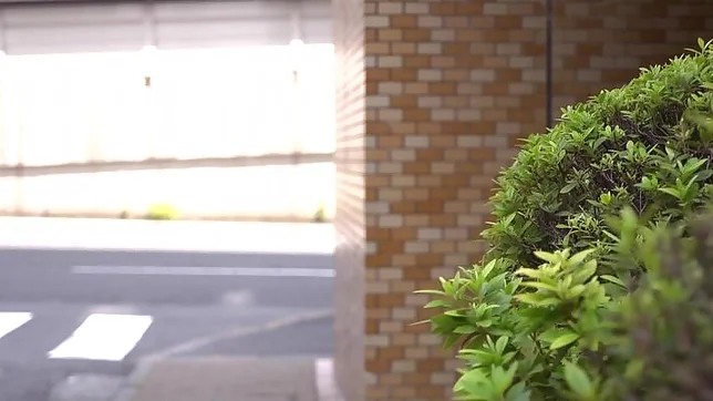 Airi Satou enjoys a sizzling hot group sex