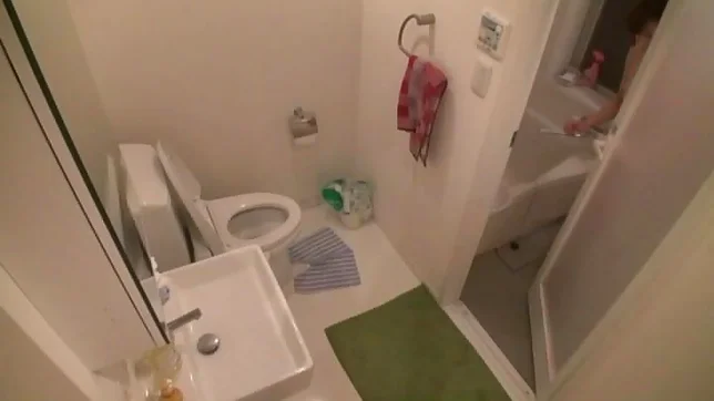 Nampa Tsurekomi gets her vagina screwed good