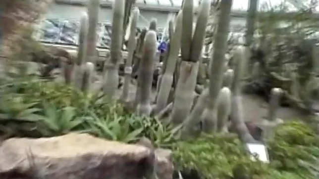 Saki Amamiya Naughty and hot Asian doll gives a blowjob outside 2