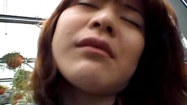 Saki Amamiya Naughty and hot Asian doll gives a blowjob outside 2