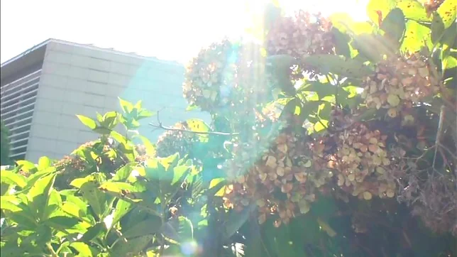 Hina Lamikawa gets her sweet body teased.