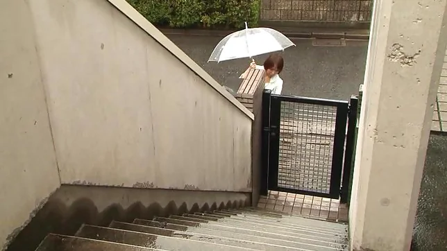 Hot housewife banged by naughty neighbor 2