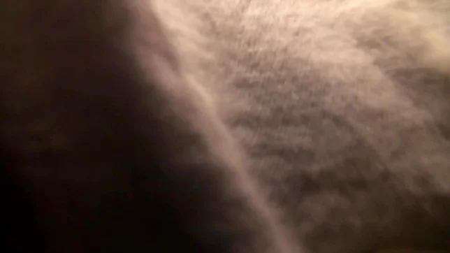 Incredibly fine Asian cutie gives pleasant head 7