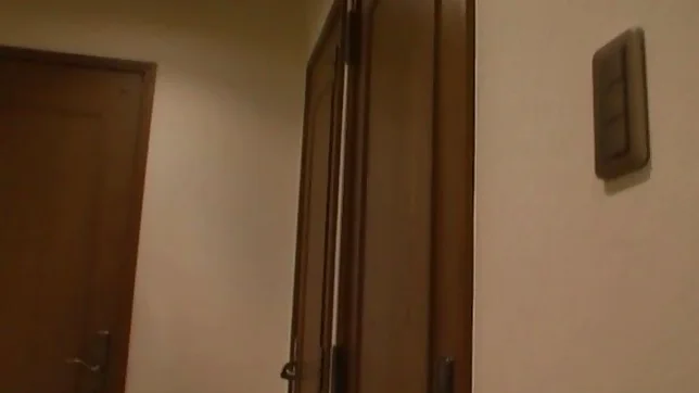 Eri Ito gets her tight vagina drilled good