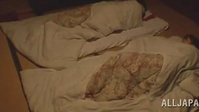 Skinny Japanese model gets banged in group action