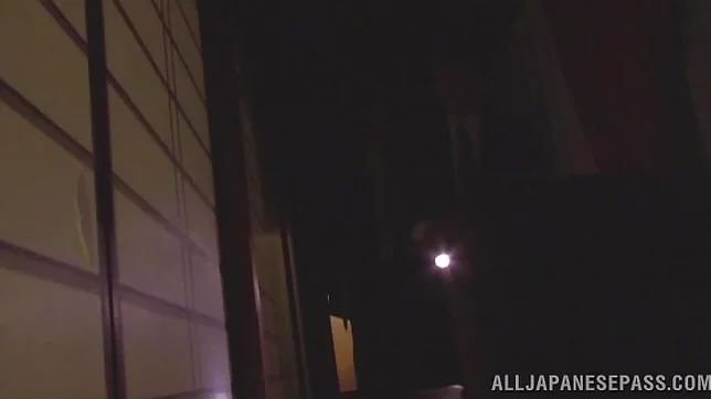 Skinny Japanese model gets banged in group action