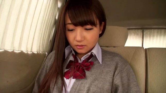Schoolgirl Moe Izumi gets fucked on the back seat 3