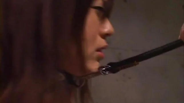 Nana Aoyama Lovely Japanese doll with big tits gets fucked in the basement 2