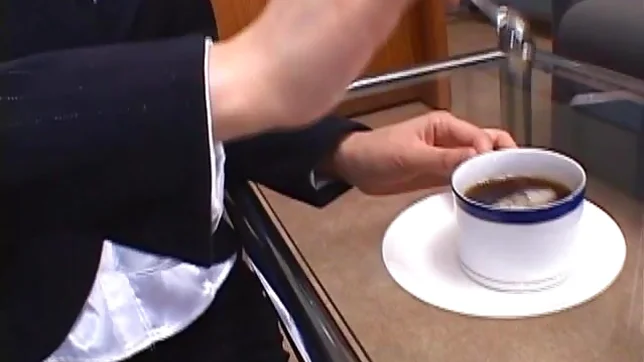 Jun Kusanagi Lovely Asian model gives a sensual blowjob on a date 2