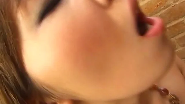 Erena Kurosawa Lovely Asian doll gives hot double blowjob 3