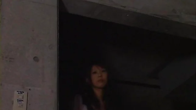 Nana Aoyama Lovely Japanese doll with big tits gets fucked in the basement 3