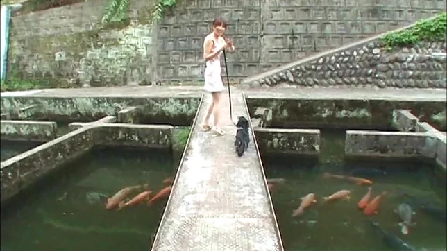 Hagiwara Mai has her cunt drilled 5