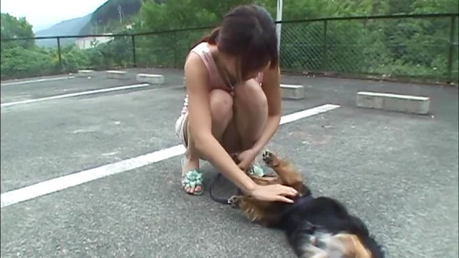 Hagiwara Mai has her cunt drilled 5