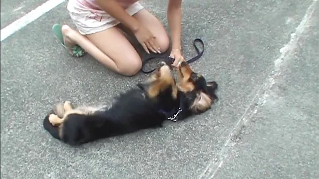 Hagiwara Mai has her cunt drilled 5