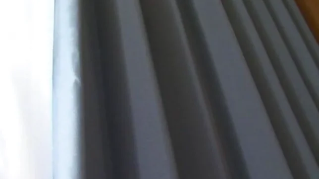 Hot chick Erina Nagasawa enjoys being drilled and filled